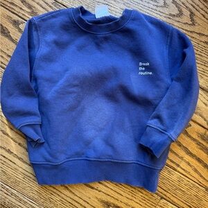 Zara Blue Kids Sweatshirt size 6
